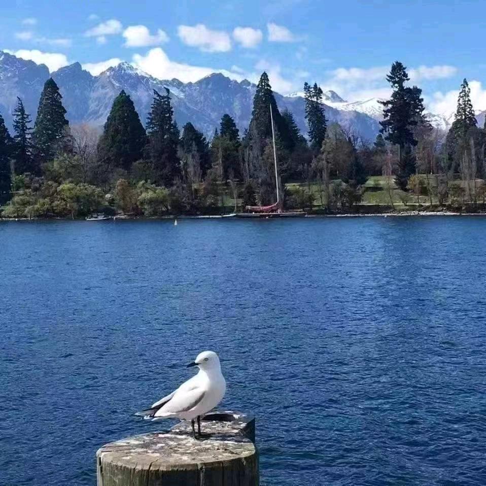 林，健康产业