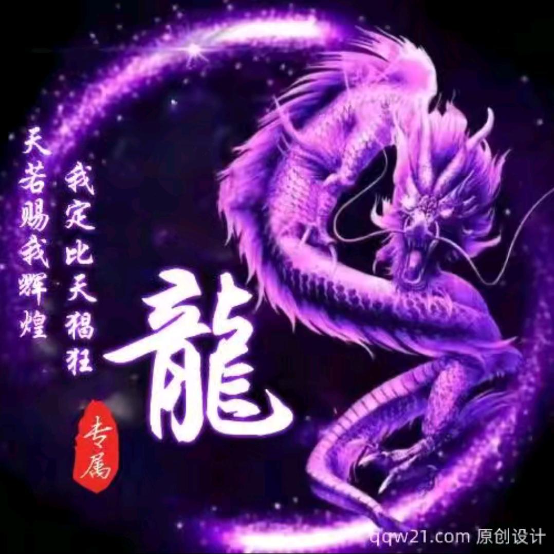 龙在江湖