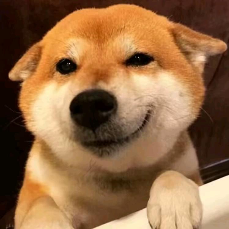 ੭ ᐕ)੭