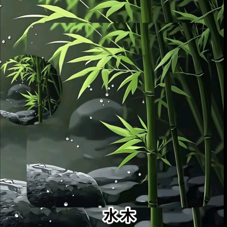城市的骆驼
