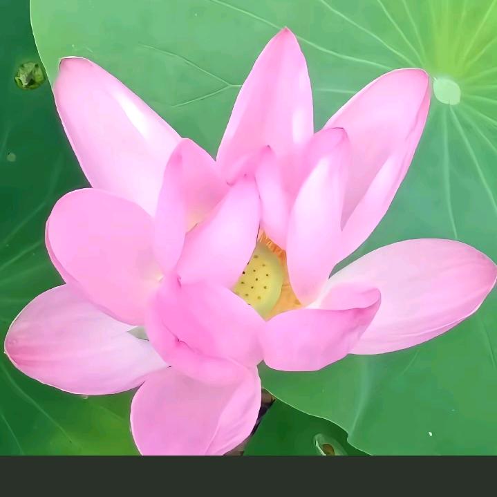 开心快乐幸福安康