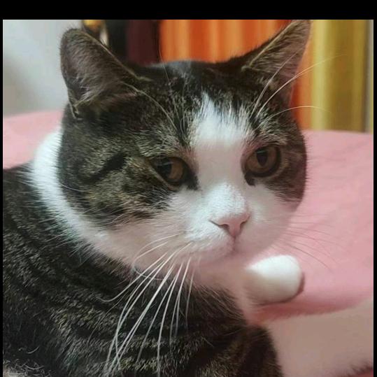 曼婷