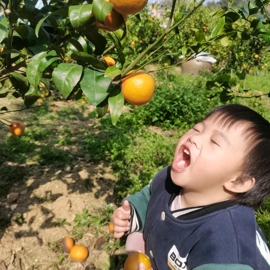 仇人上梁山