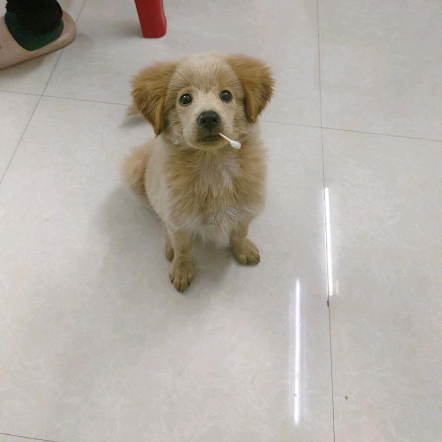 雾非雾丶╮の迷惘