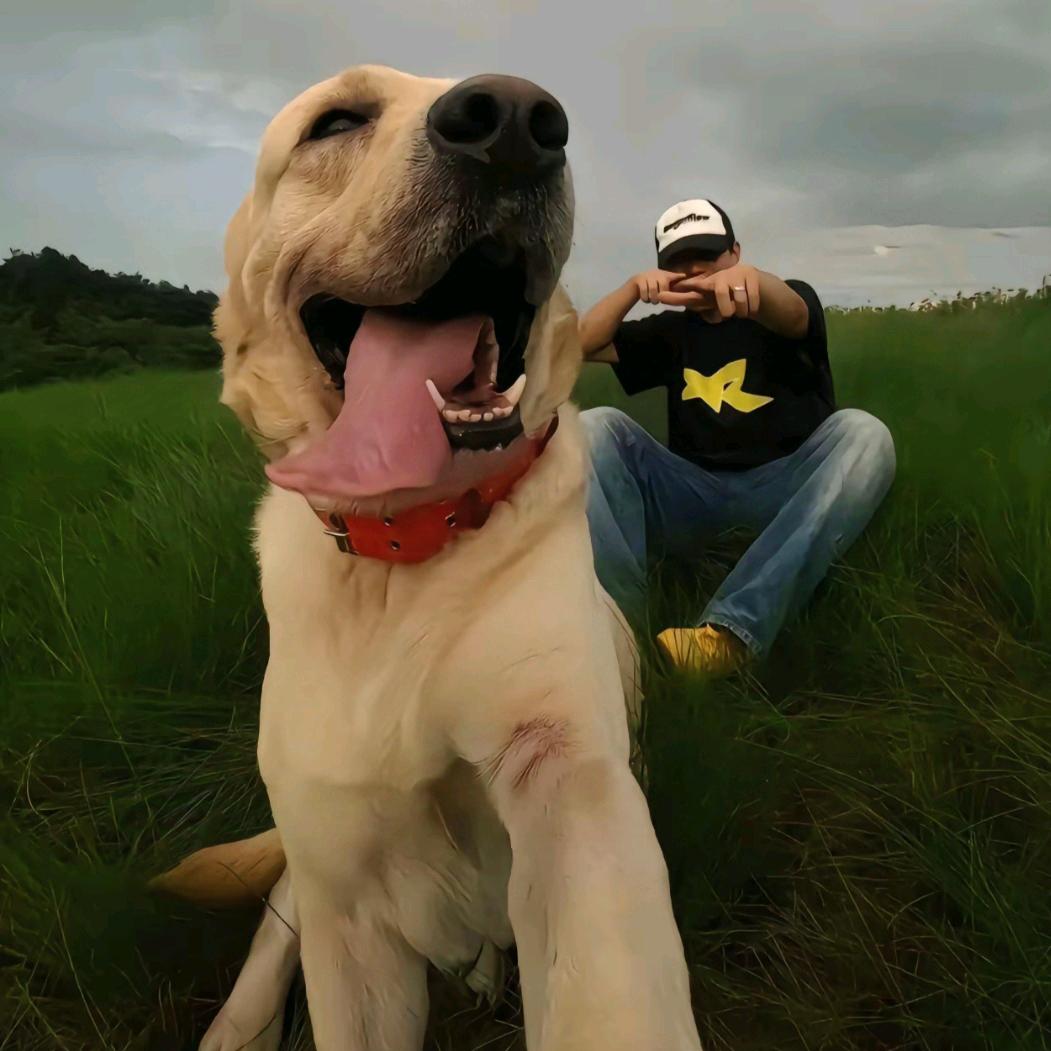 混社会的卡卡大帝