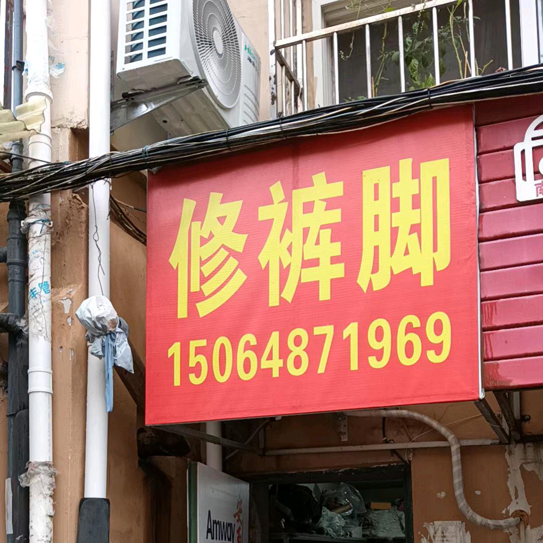 迎春花/春暖花开