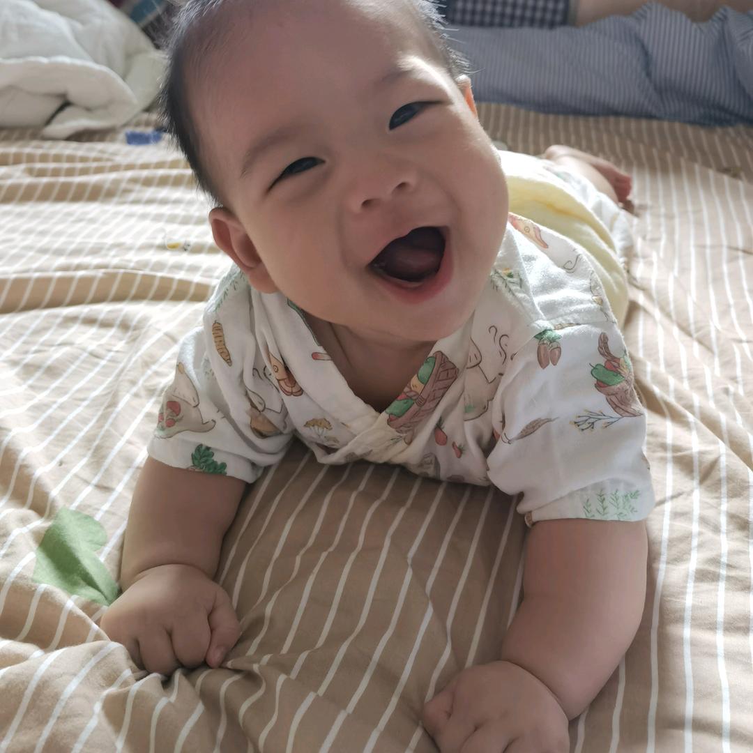 虎头虎脑的圆圆
