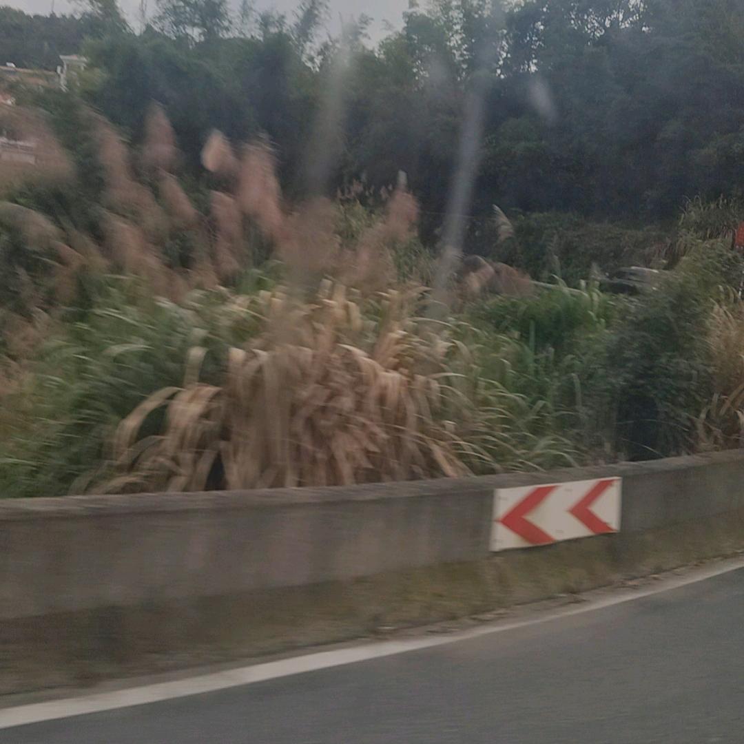 小黄优选好物