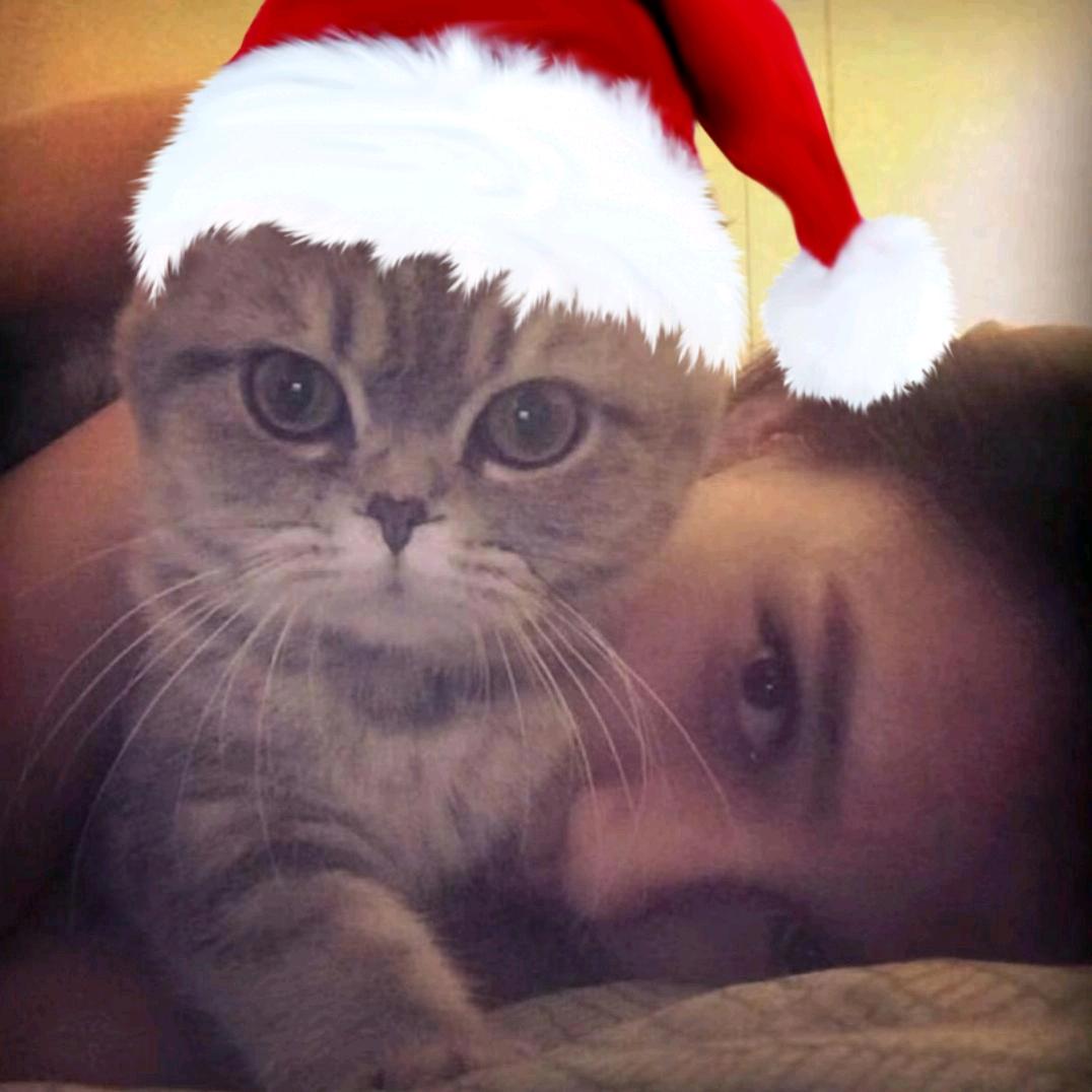 旺仔小橹•᷄ࡇ•᷅（抖音还我流量