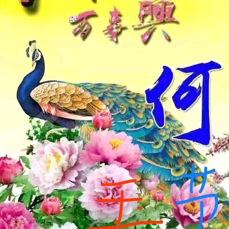 单身，顺其自然