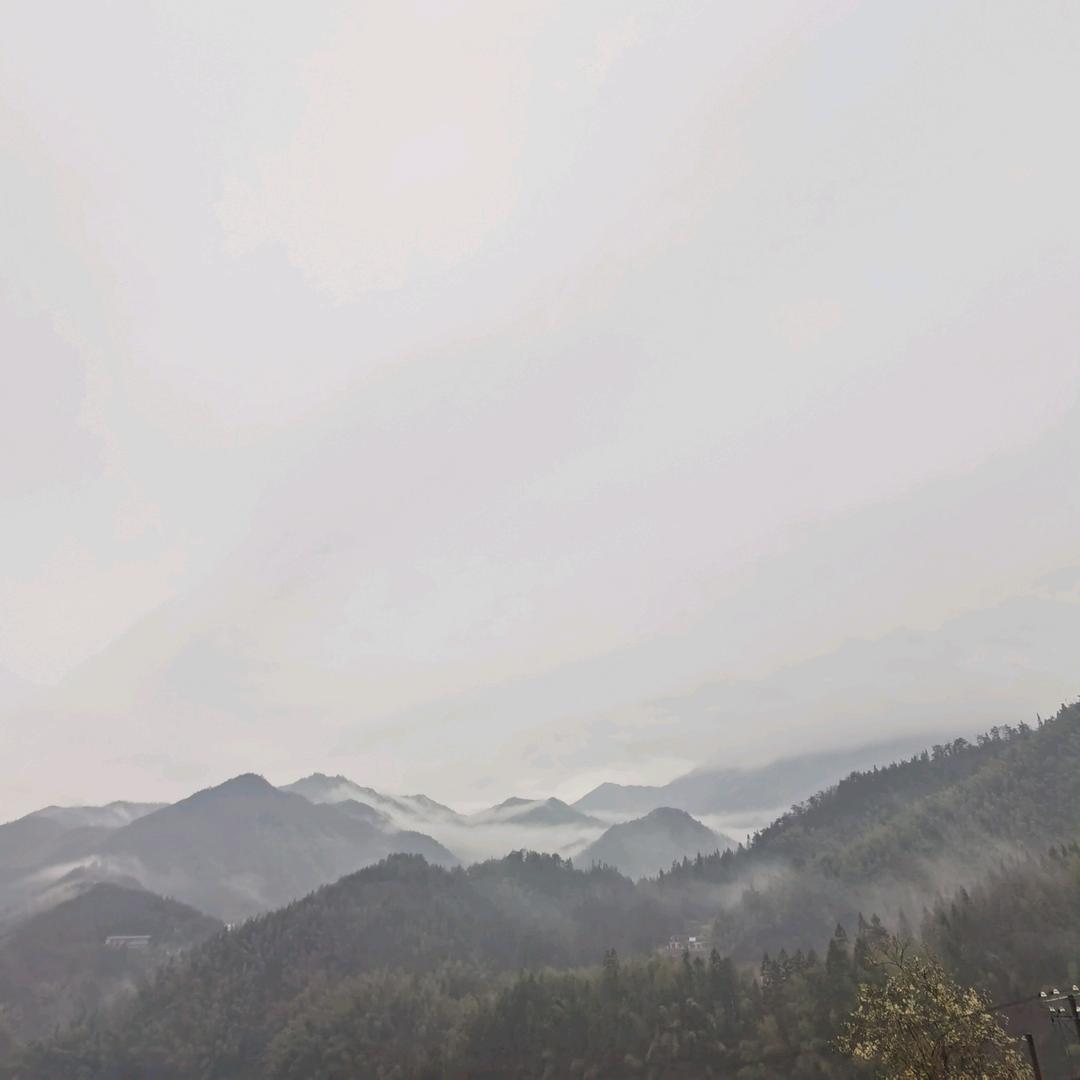 &****夕颜