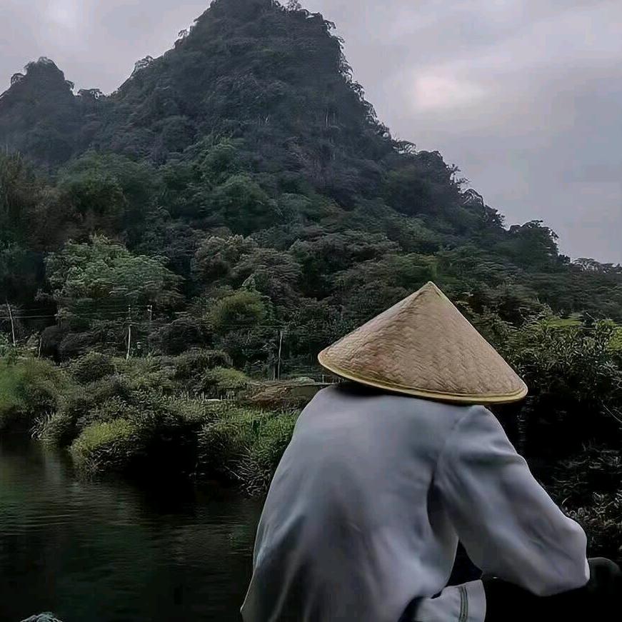 谢霆锋