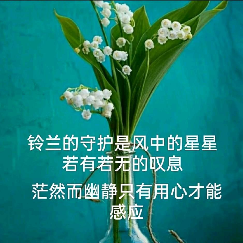 春儿