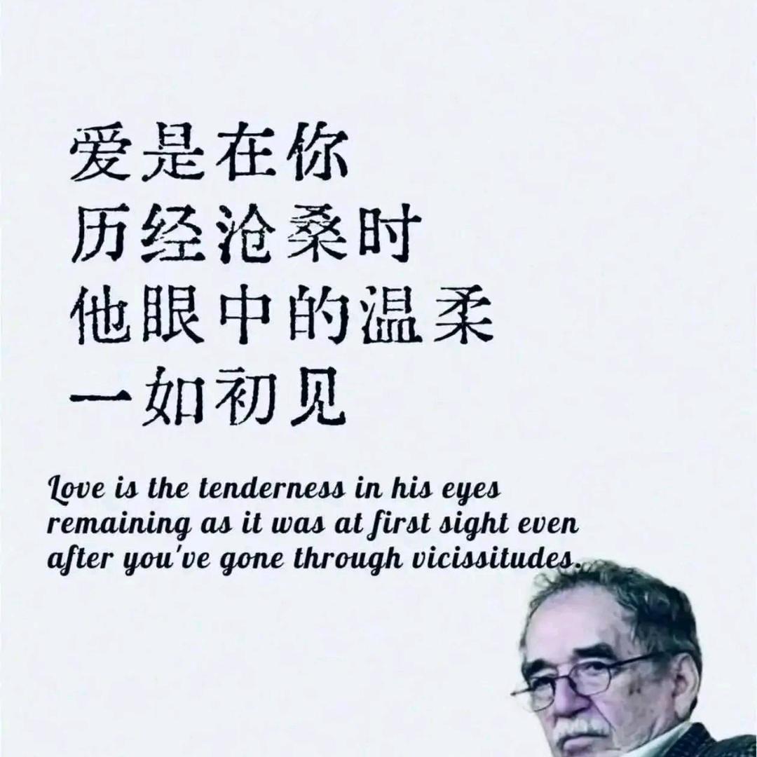 大象和小象