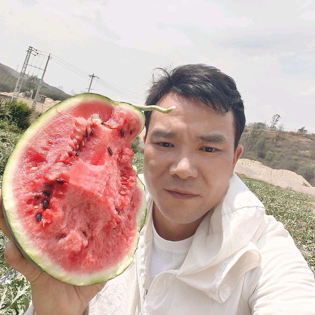 康乐瓜果供应链