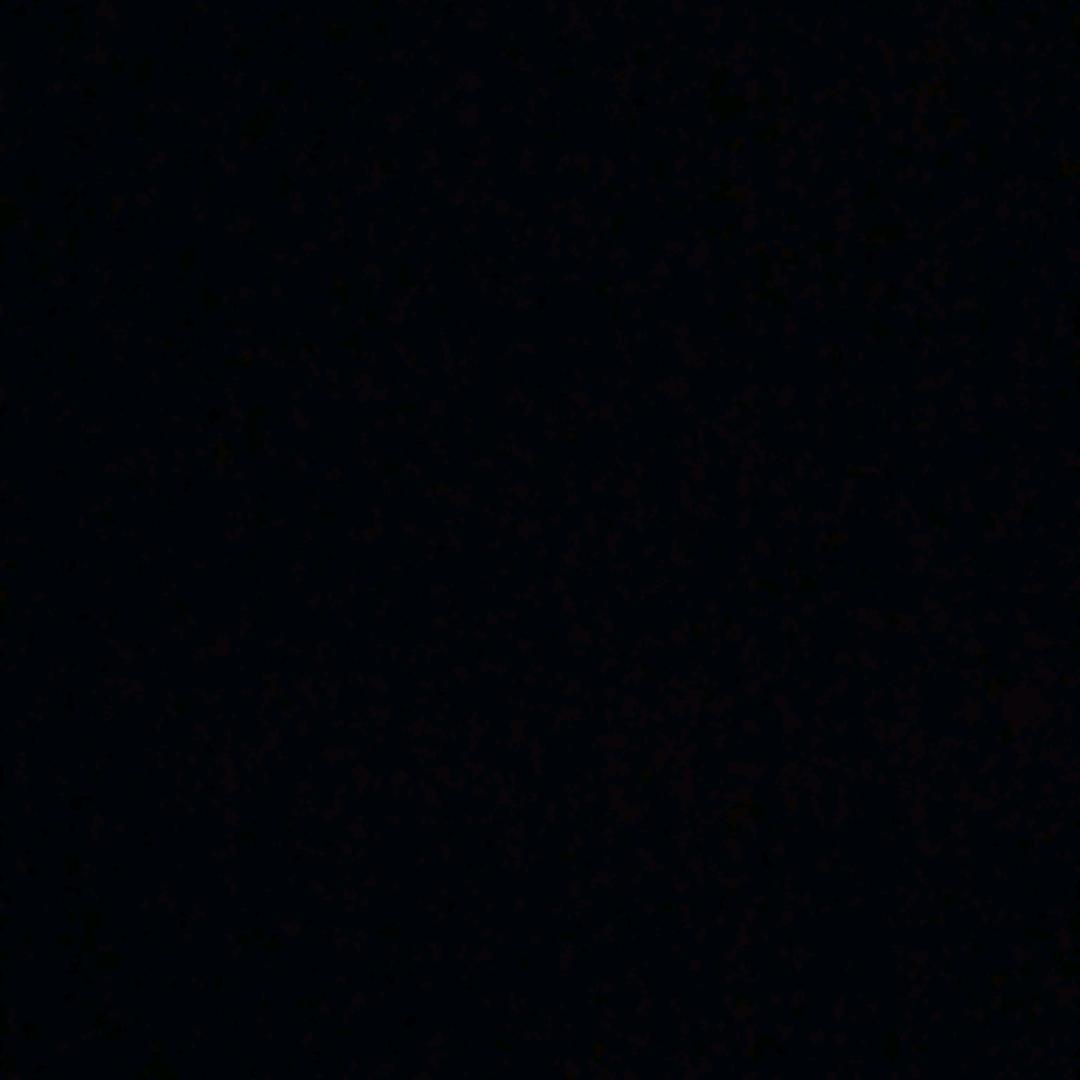 🐵🙈🙉🙊🐒
