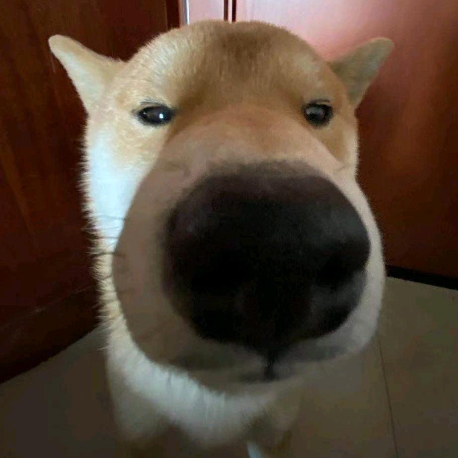 我是学校