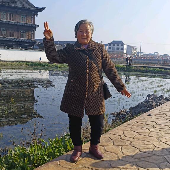 酿凤
