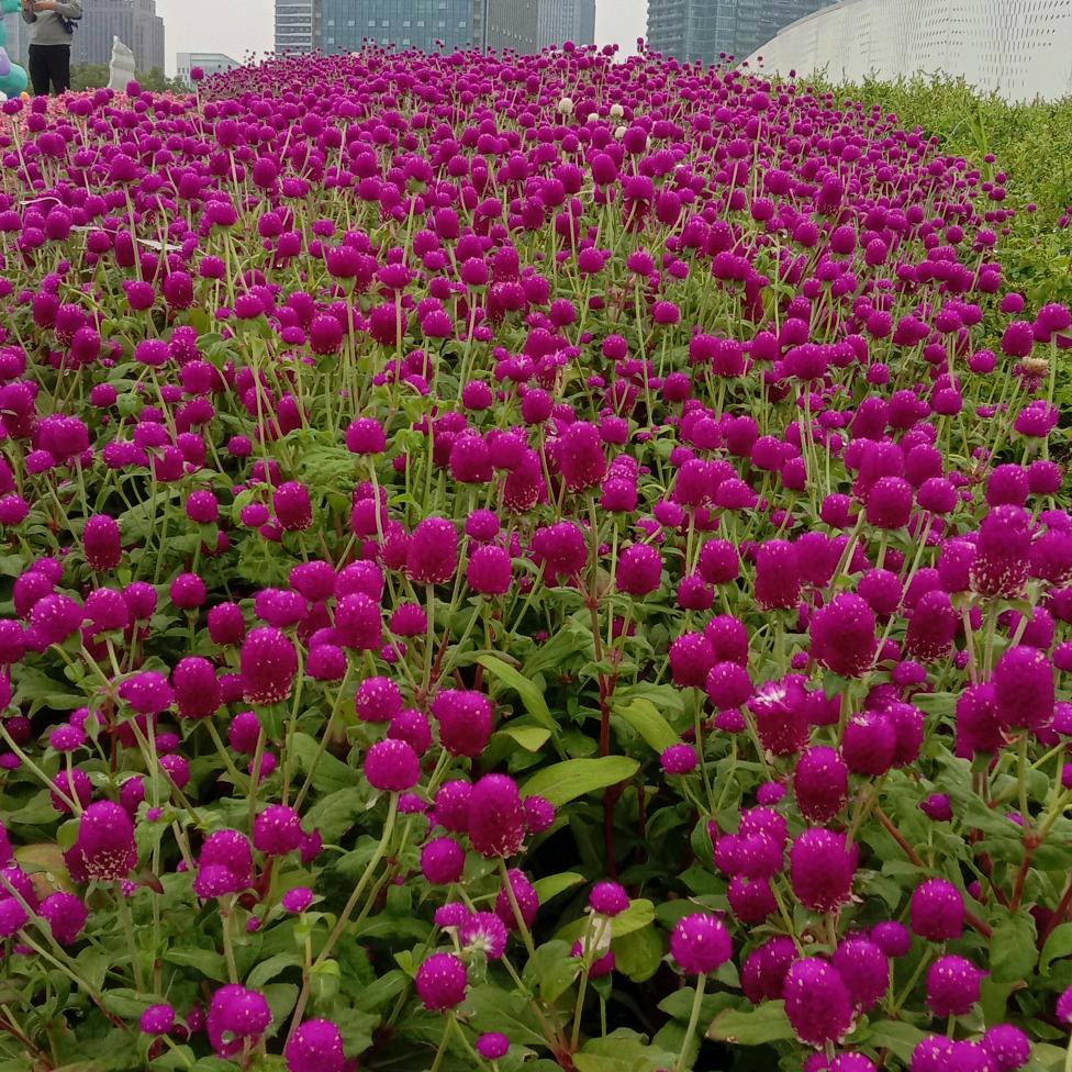 东林百货