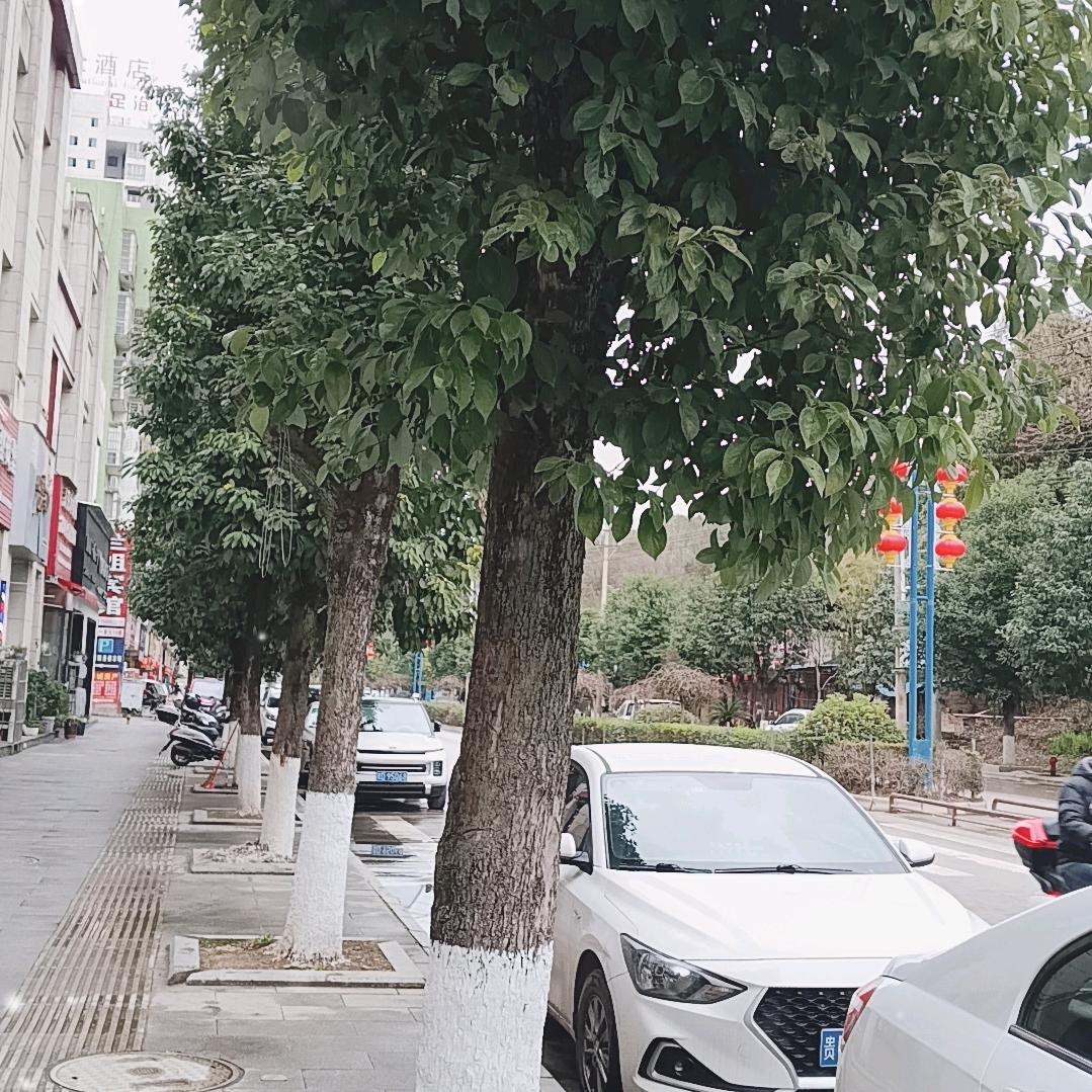 用户9101404298349 春暖花开