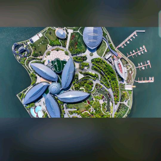 🙈一路支持🍁