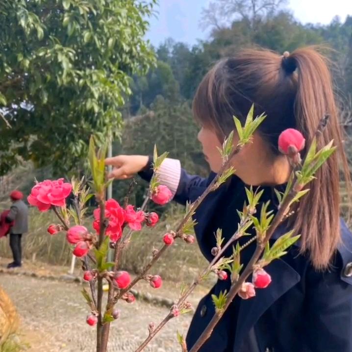 杨菇凉