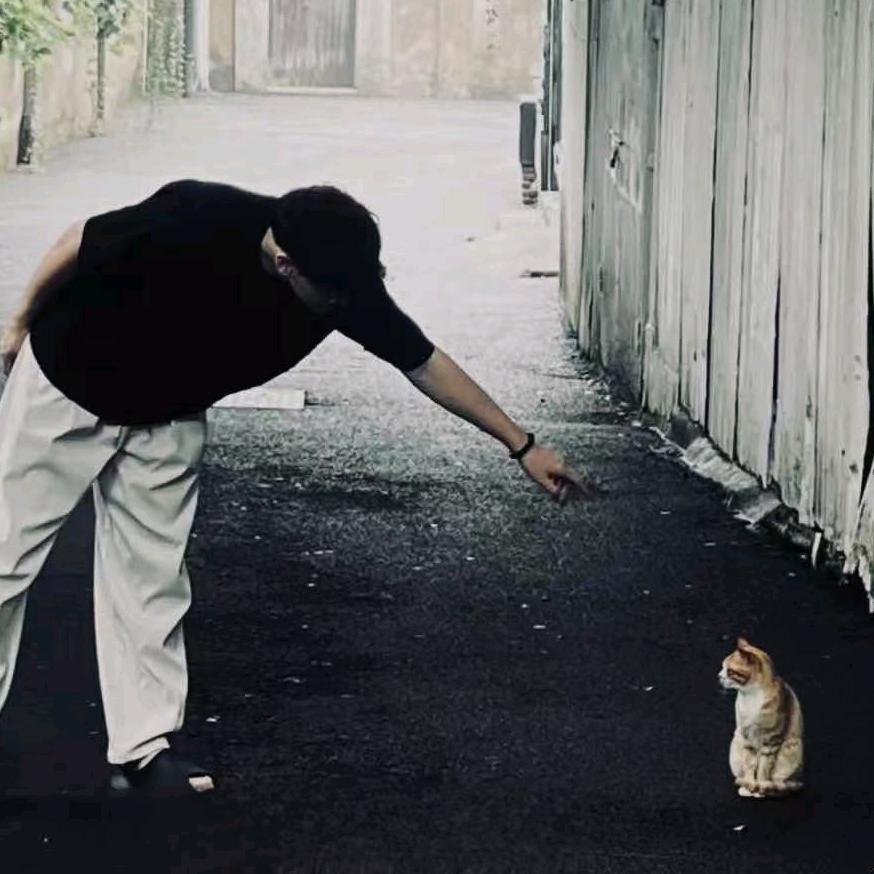 藏匿