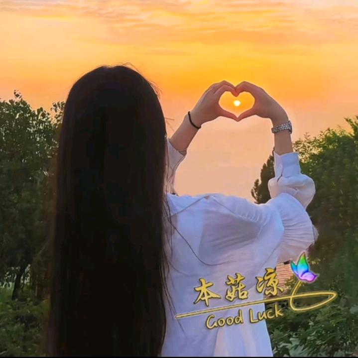 本菇凉