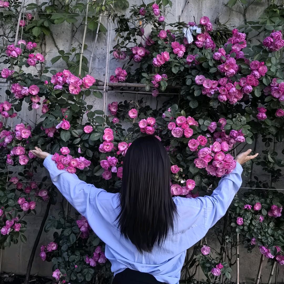 疯子一样的女子🌻