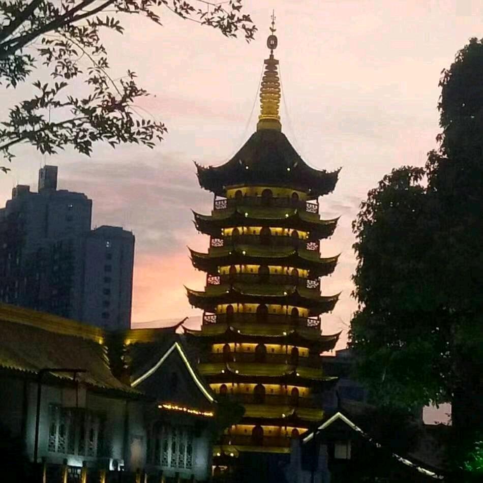 飞越梦想