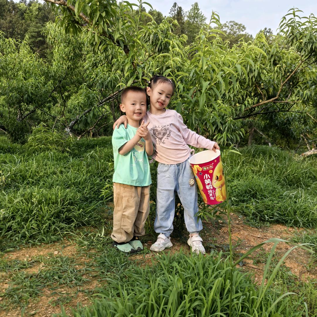 熏衣草