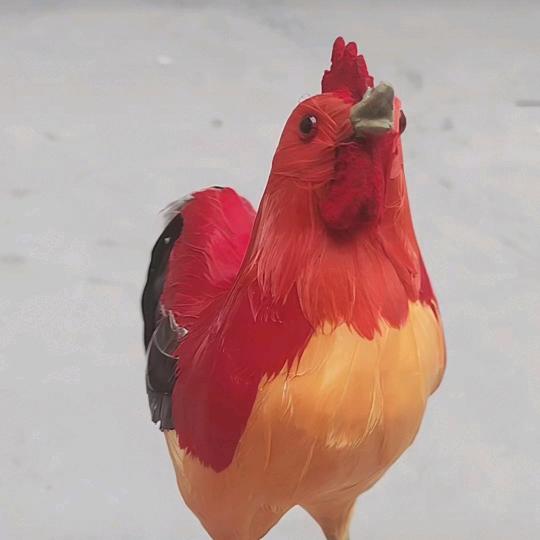 琳一