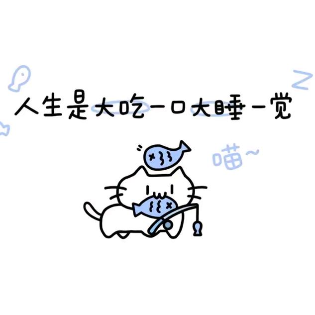南星⭐