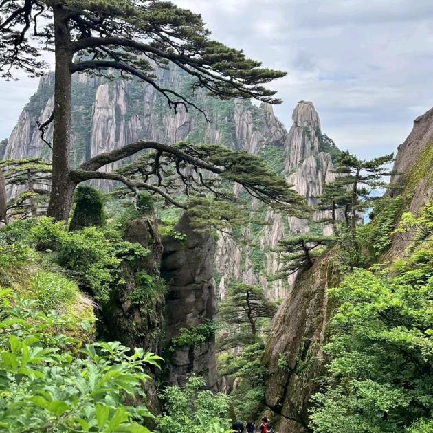 春风得意