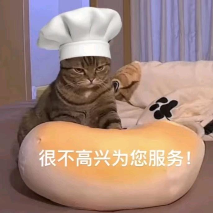 屁股怎么还不好