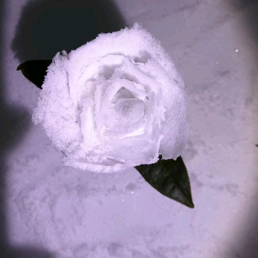 💗渡余້໌ᮩ💞生༽ꦿ₁ᵌ₁⁴