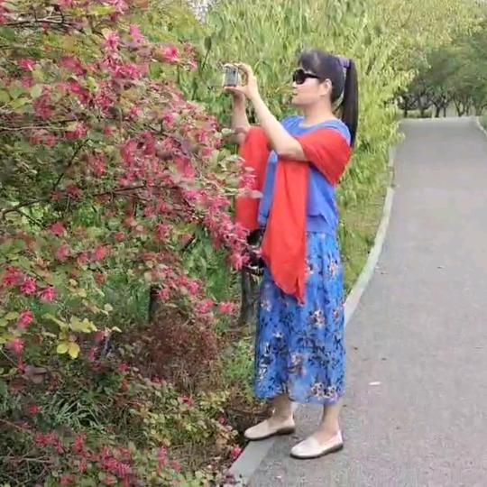 美猴（橱窗好物）