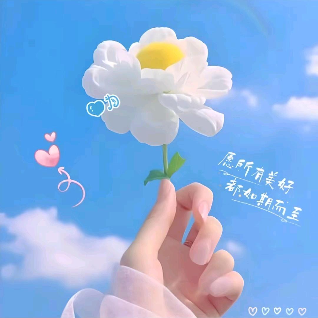 幸福杨子^O^（拒连赞）