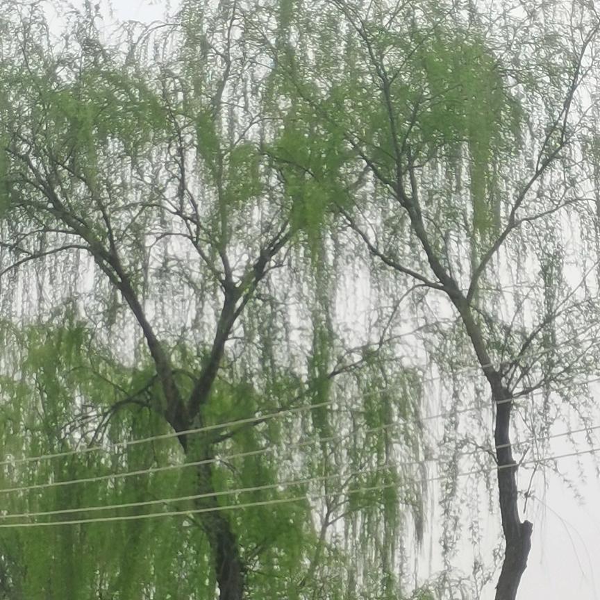 尽心竭力