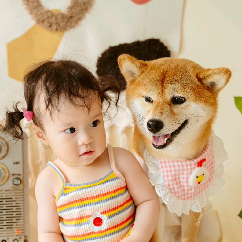 是呆呆吖🐶