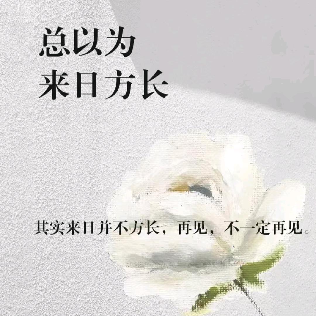 人间释怀