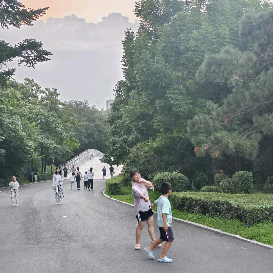 金之霖批发电瓶主理人 晓金