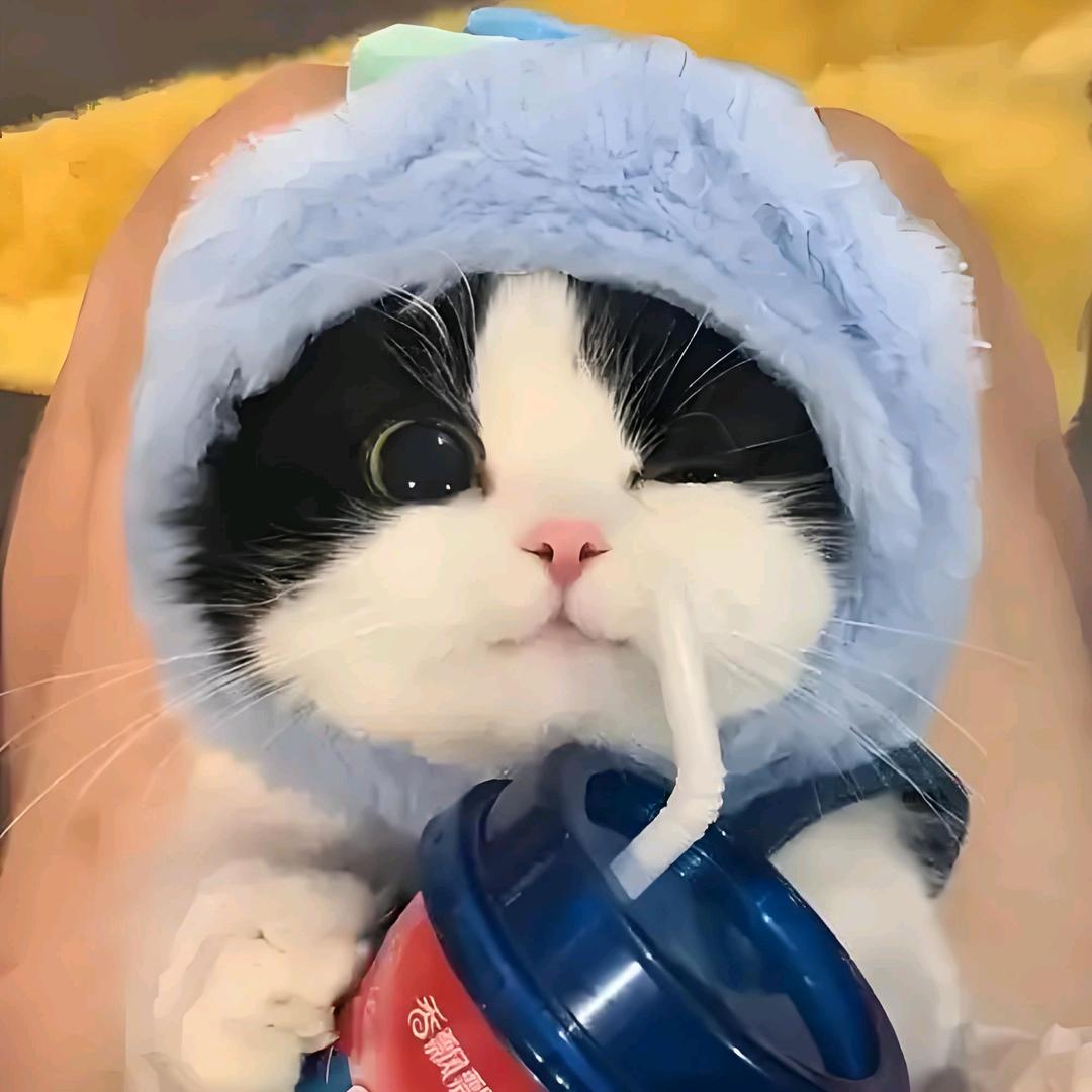 小豆丁