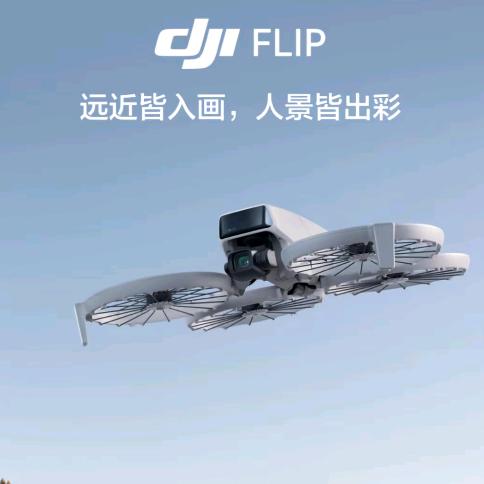 不掉的flip