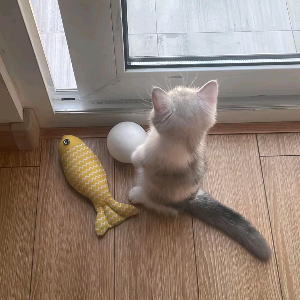等雨停