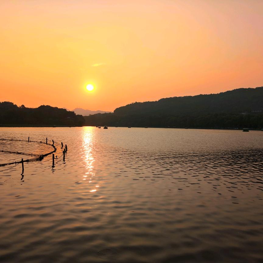 爱读点书的家伙