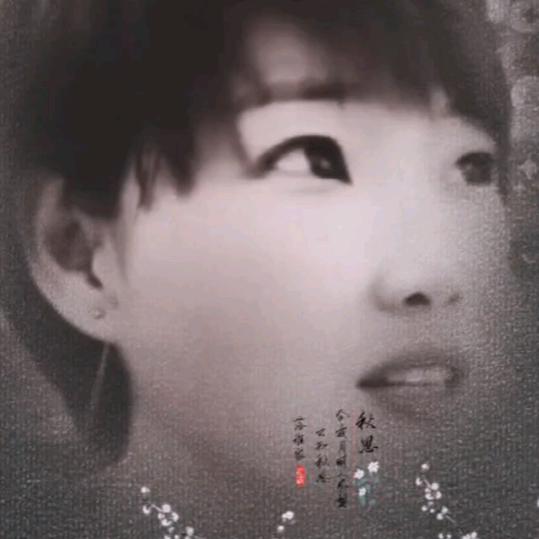 双芳晗婷