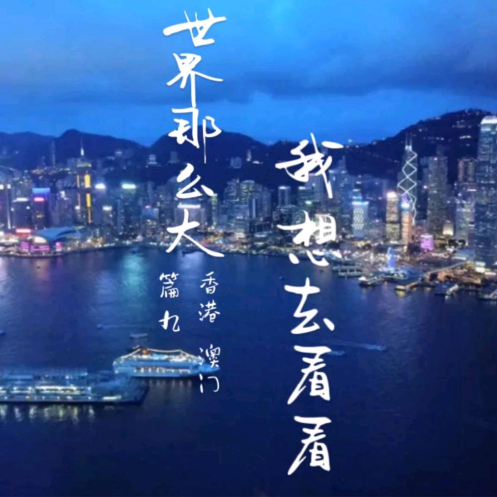 曹县下一站旅行社