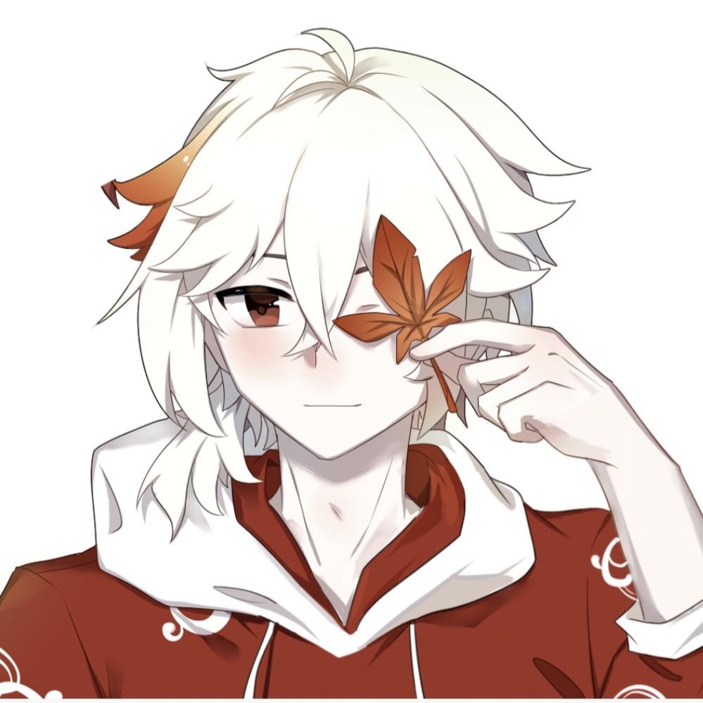 小白+_+