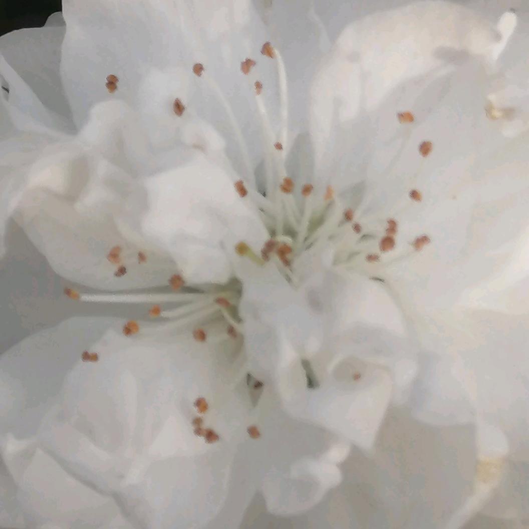 一生有你💃💃💃